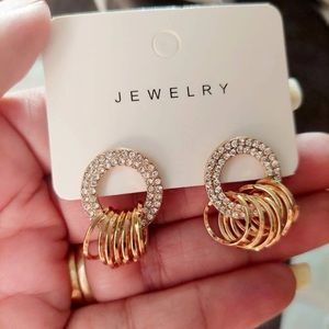 Beautiful Rhinestone Circle Decor Earrings